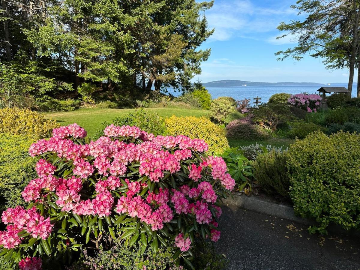 SeaLaVie Rare Peaceful&Hidden Gem Shore House Ladysmith Exterior foto